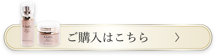 ご購入はこちら